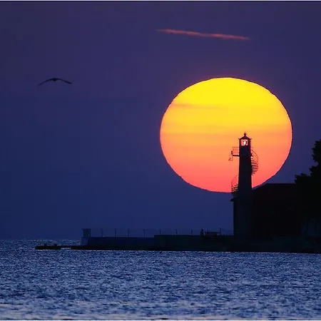 Simon's Lägenhet Zadar